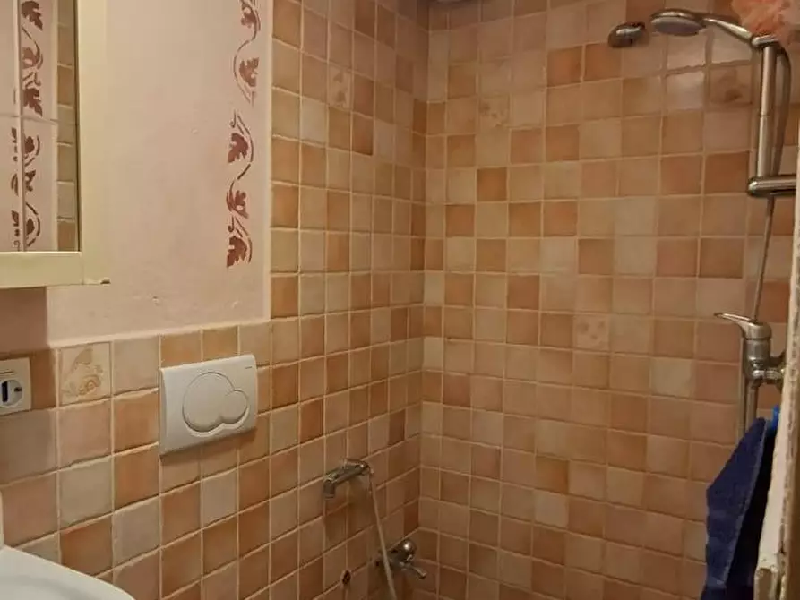 Immagine 15 di Terratetto in vendita  a Terricciola