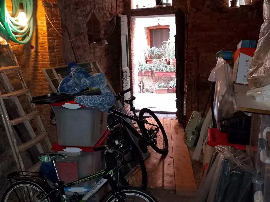 Immagine 25 di Terratetto in vendita  a Terricciola