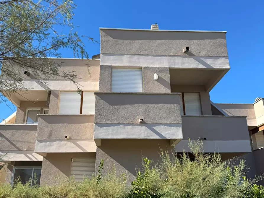 Immagine 17 di Appartamento in vendita  a Pisa