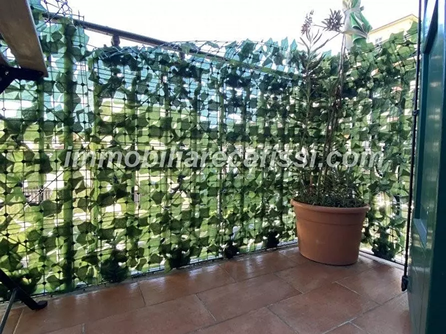 Immagine 19 di Appartamento in vendita  a Prato