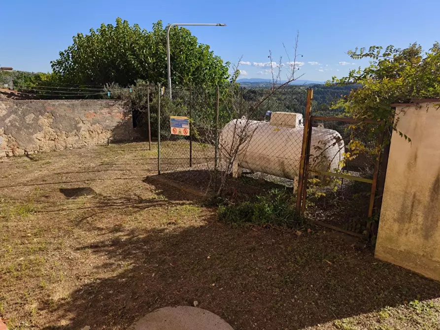 Immagine 18 di Appartamento in vendita  a Palaia