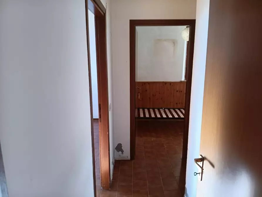 Immagine 11 di Appartamento in vendita  a Palaia