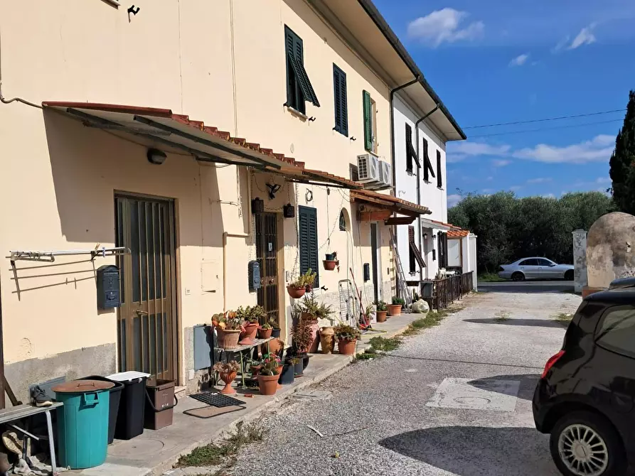 Immagine 26 di Terratetto in vendita  a Pisa