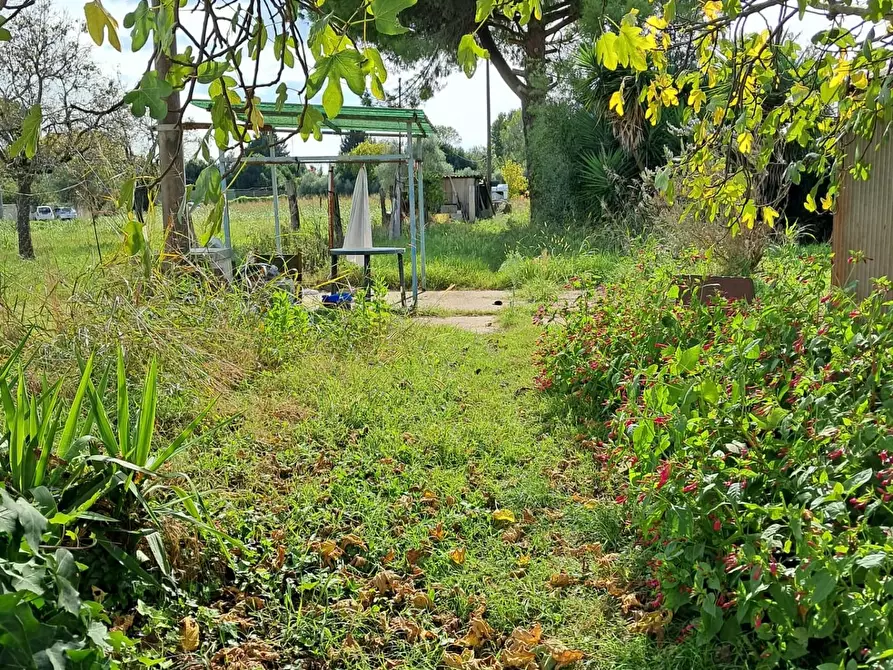 Immagine 20 di Terratetto in vendita  a Pisa