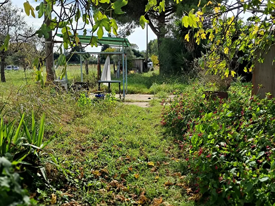 Immagine 24 di Terratetto in vendita  a Pisa