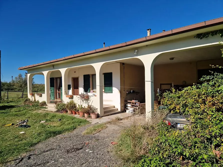 azienda agricola in vendita a Rosignano Marittimo in zona Vada