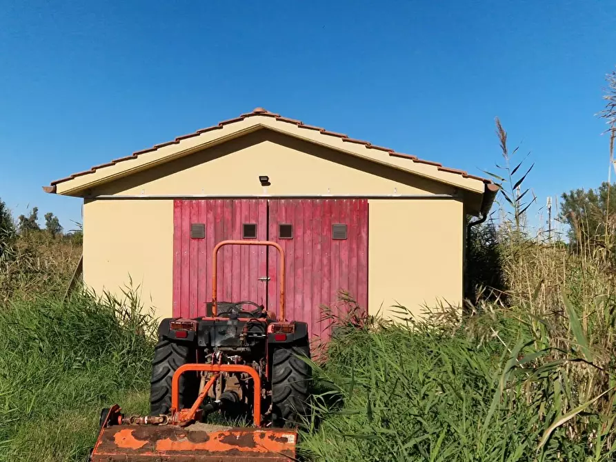 Immagine 4 di Azienda agricola in vendita  a Rosignano Marittimo