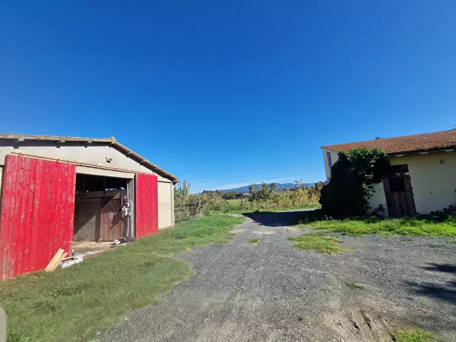 Immagine 5 di Azienda agricola in vendita  a Rosignano Marittimo