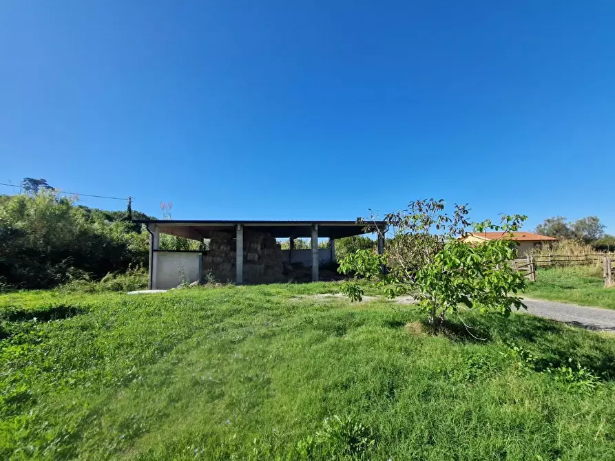 Immagine 7 di Azienda agricola in vendita  a Rosignano Marittimo