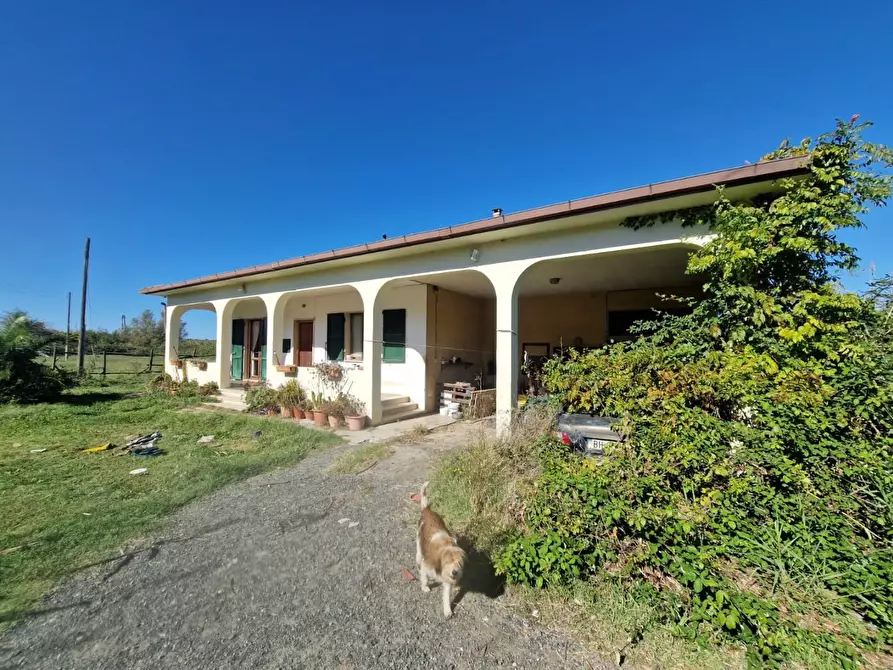 Immagine 2 di Azienda agricola in vendita  a Rosignano Marittimo