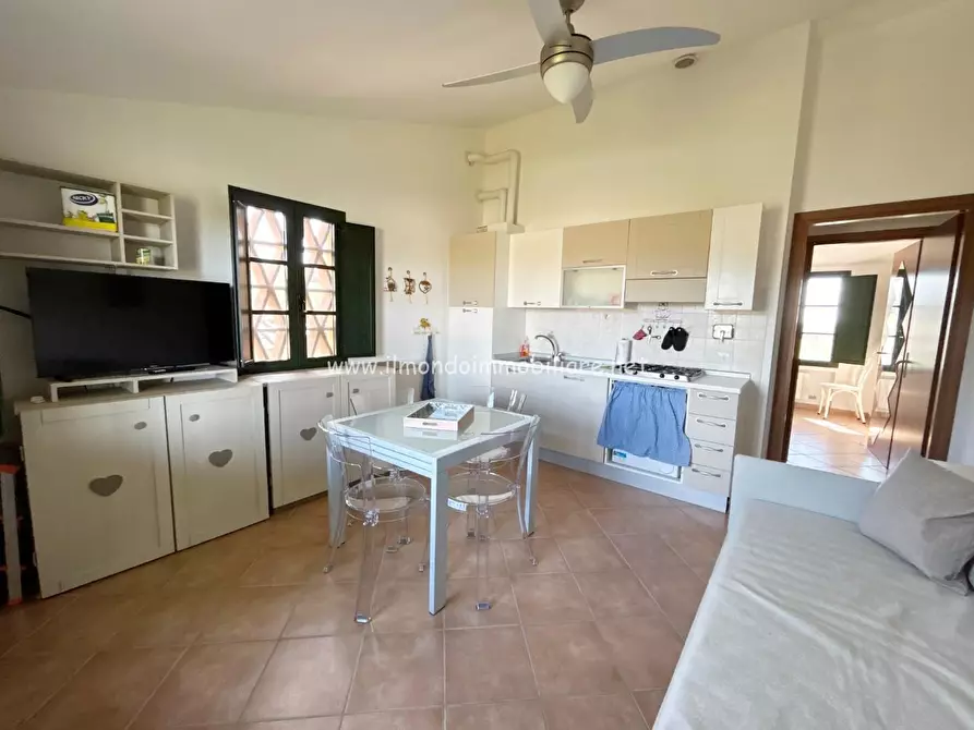 Immagine 4 di Appartamento in vendita  a Castellina Marittima