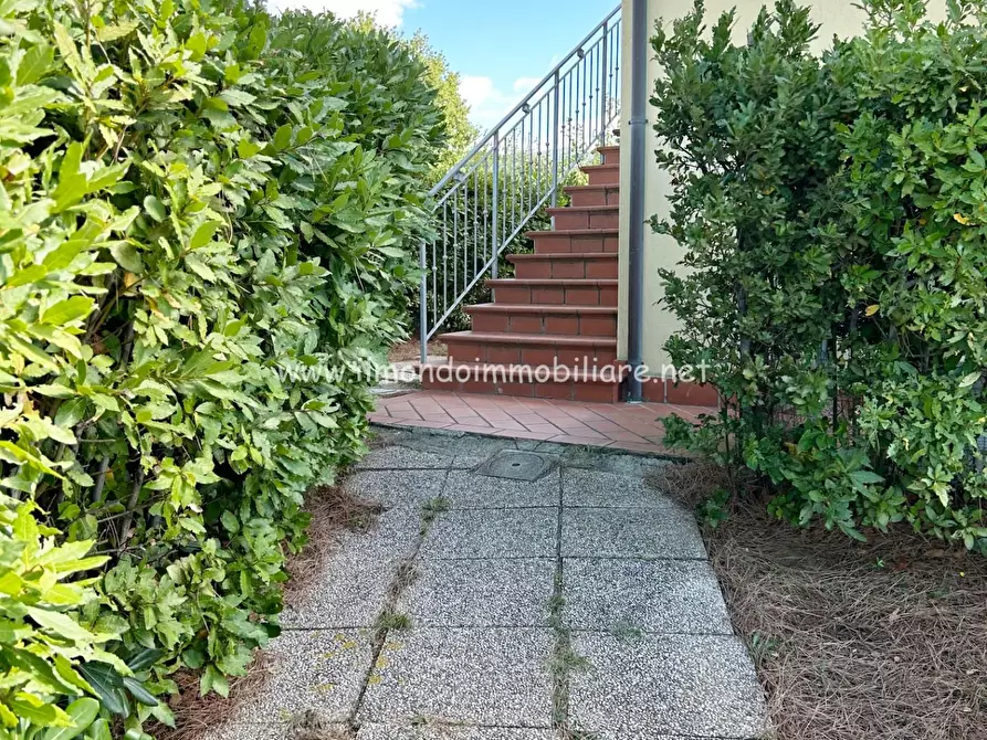 Immagine 17 di Appartamento in vendita  a Castellina Marittima