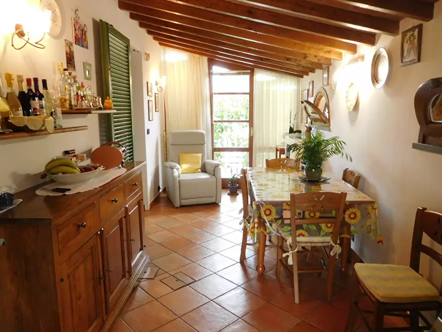 Immagine 5 di Villa in vendita  a Vecchiano