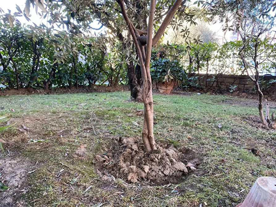 Immagine 30 di Casa indipendente in vendita  a Empoli