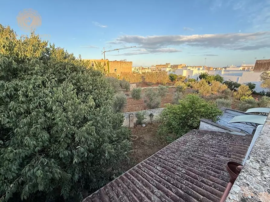 Immagine 9 di Casa indipendente in vendita  a Castrignano Del Capo