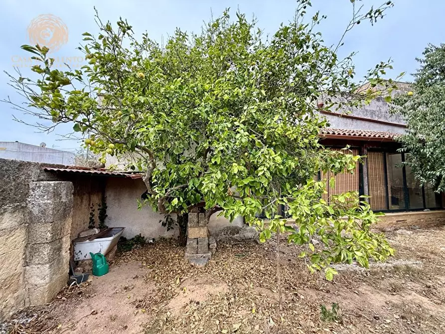 Immagine 32 di Casa indipendente in vendita  a Castrignano Del Capo