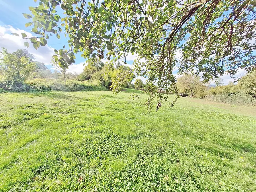 Immagine 26 di Appartamento in vendita  a Barberino Di Mugello