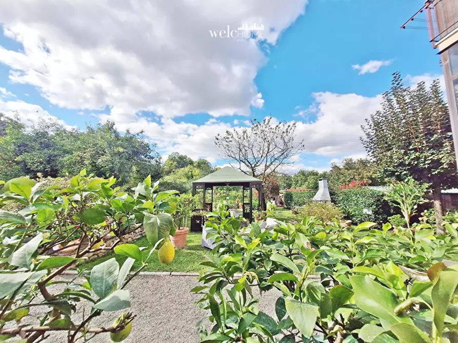 Immagine 27 di Appartamento in vendita  a Barberino Di Mugello