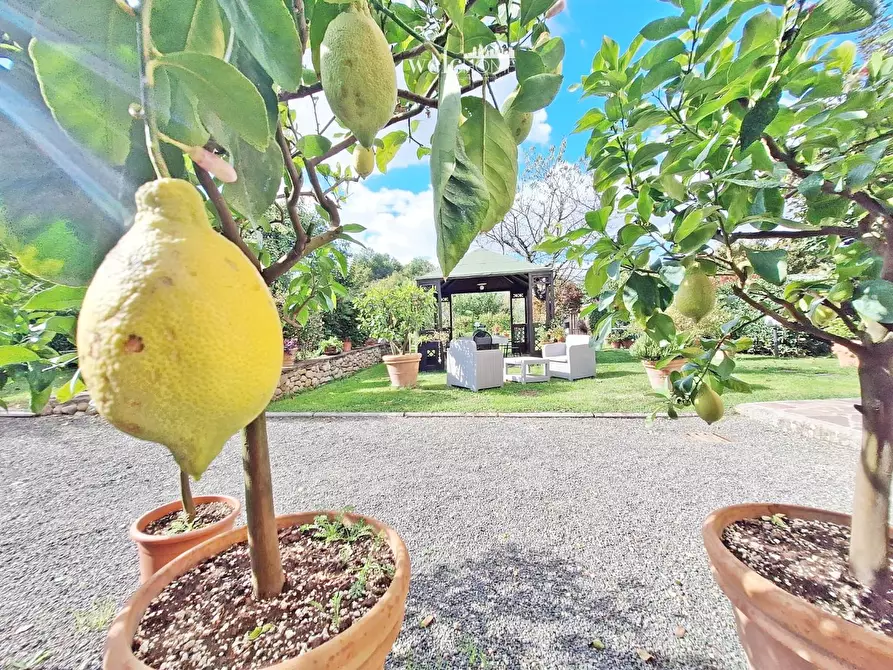 Immagine 24 di Appartamento in vendita  a Barberino Di Mugello