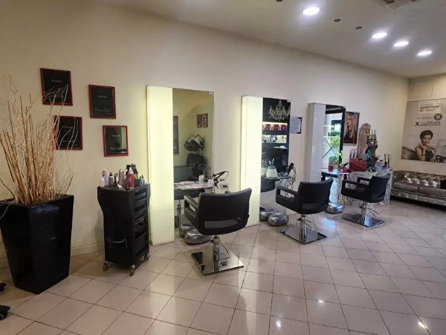 Immagine 3 di Attività commerciale in vendita  a Calci