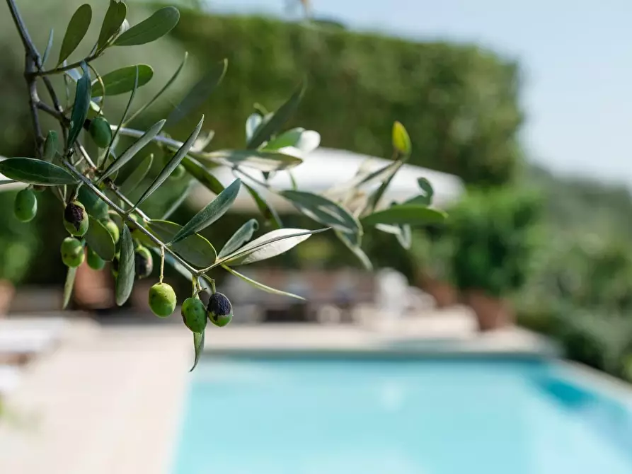 Immagine 16 di Villa in vendita  a Camaiore