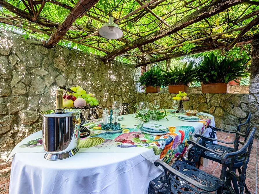 Immagine 54 di Villa in vendita  a Camaiore