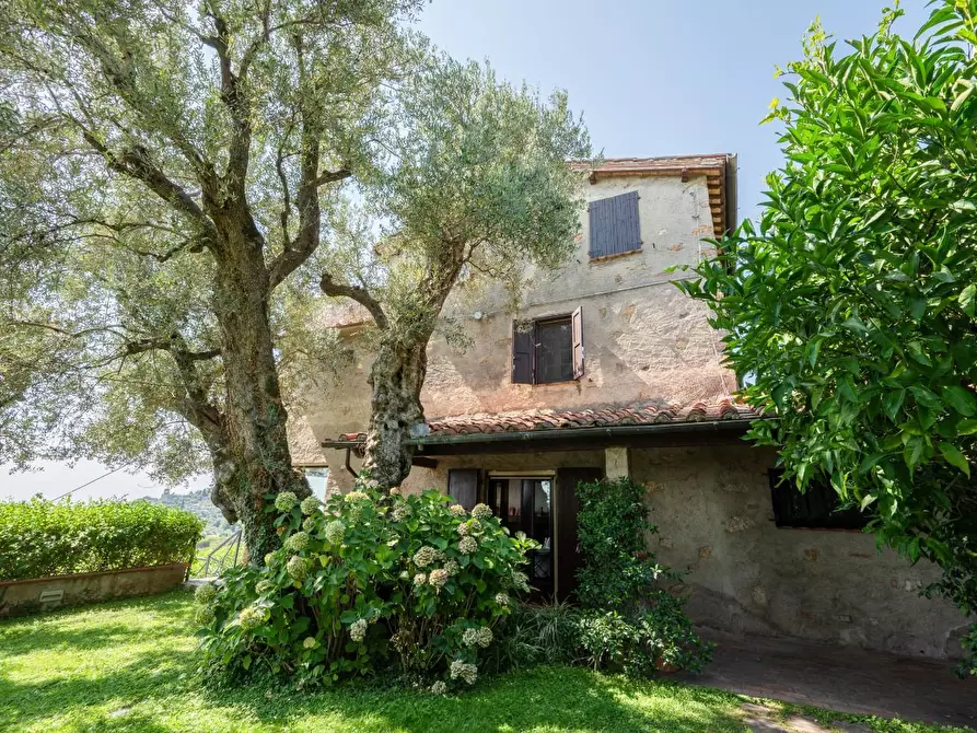 Immagine 6 di Villa in vendita  a Camaiore