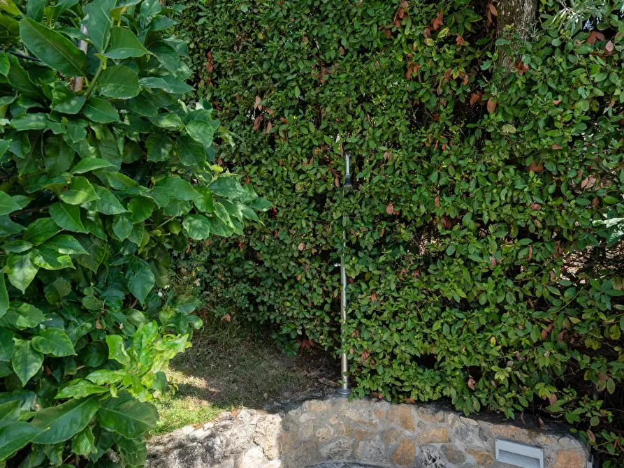 Immagine 44 di Villa in vendita  a Camaiore