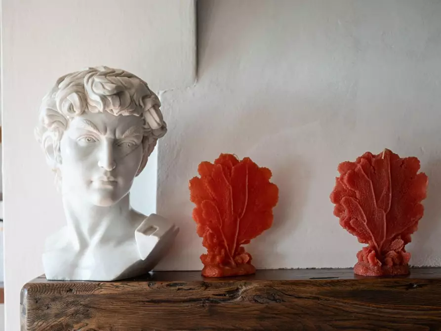 Immagine 60 di Villa in vendita  a Camaiore