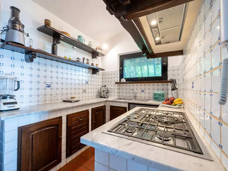 Immagine 64 di Villa in vendita  a Camaiore