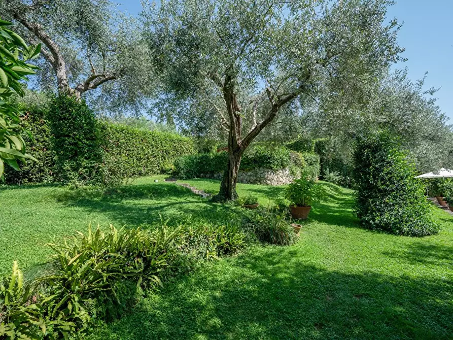 Immagine 47 di Villa in vendita  a Camaiore