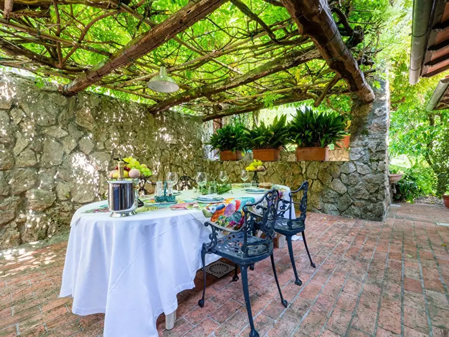 Immagine 8 di Villa in vendita  a Camaiore