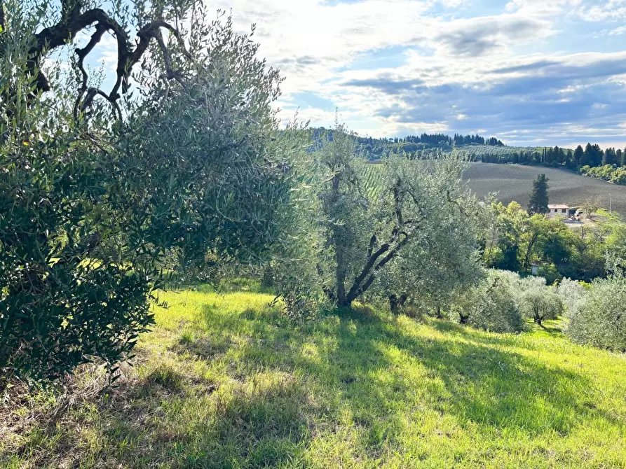Immagine 2 di Terreno agricolo in vendita  a Empoli