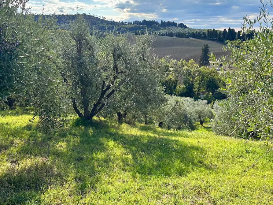 Immagine 4 di Terreno agricolo in vendita  a Empoli