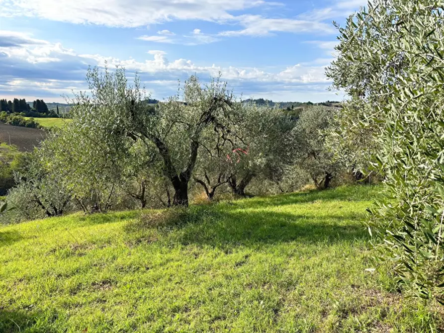 Immagine 6 di Terreno agricolo in vendita  a Empoli