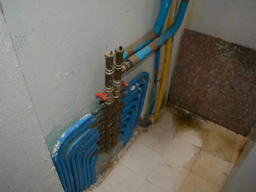 Immagine 10 di Casa indipendente in vendita  a Luogosanto