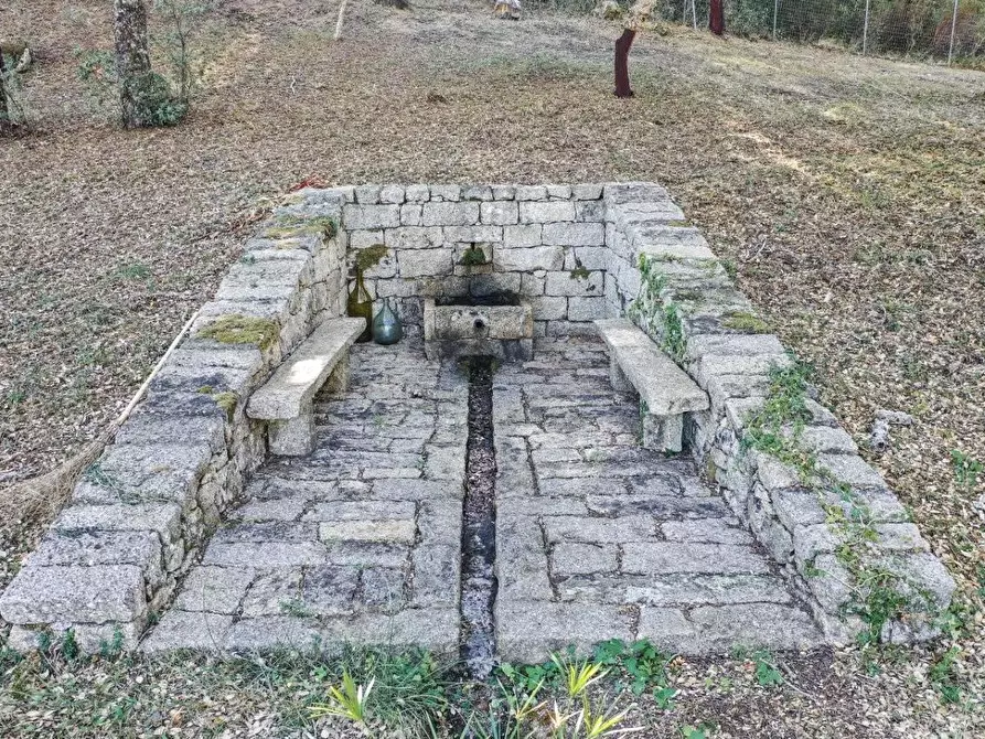 Immagine 5 di Casa colonica in vendita  a Luogosanto