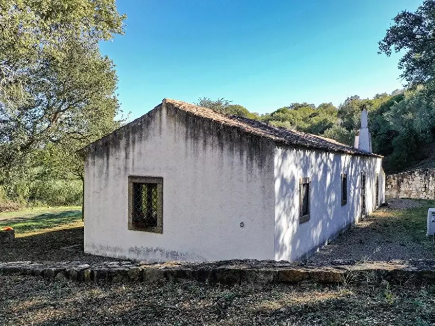 Immagine 4 di Casa colonica in vendita  a Luogosanto