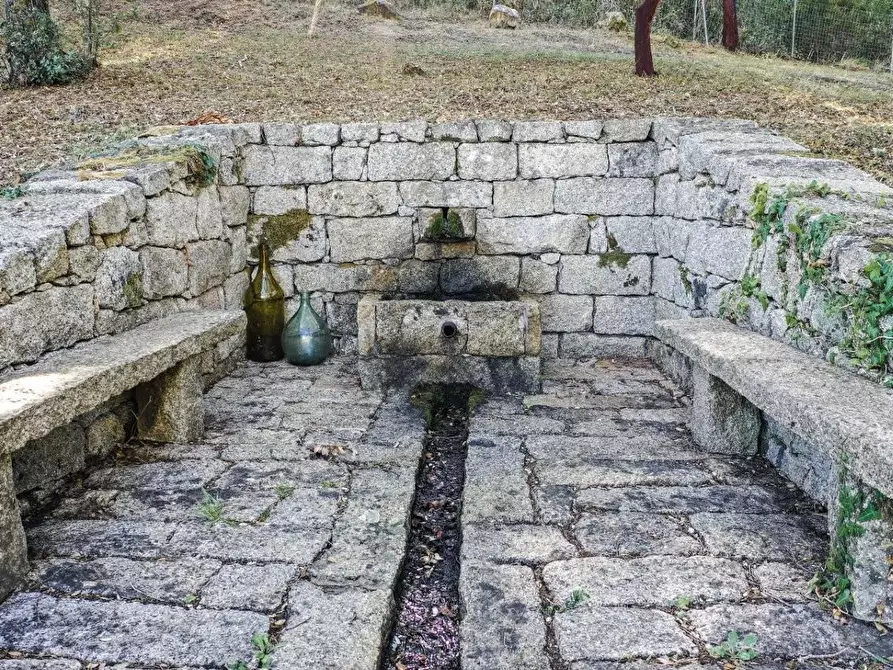 Immagine 6 di Casa colonica in vendita  a Luogosanto