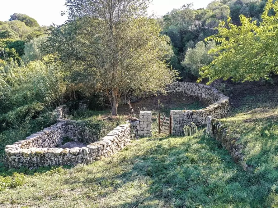 Immagine 2 di Casa colonica in vendita  a Luogosanto
