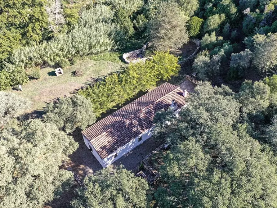 Immagine 13 di Casa colonica in vendita  a Luogosanto