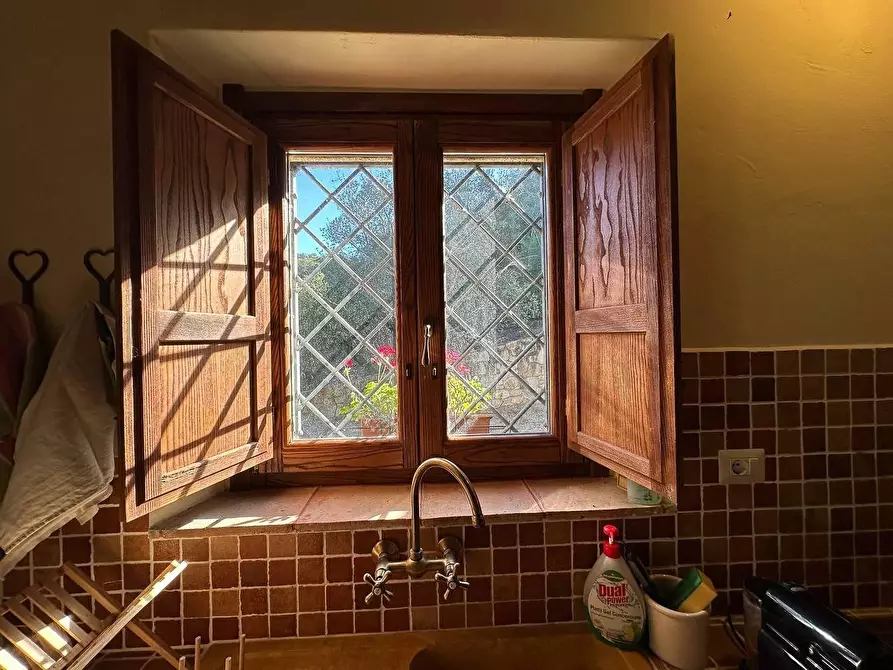 Immagine 28 di Casa colonica in vendita  a Luogosanto