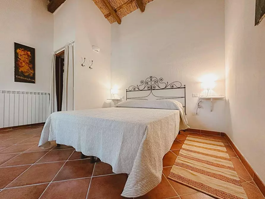 Immagine 38 di Casa colonica in vendita  a Luogosanto