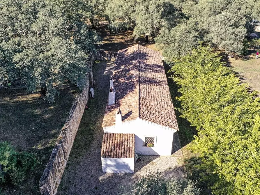 Immagine 10 di Casa colonica in vendita  a Luogosanto