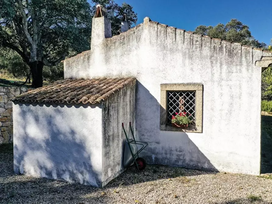 Immagine 11 di Casa colonica in vendita  a Luogosanto