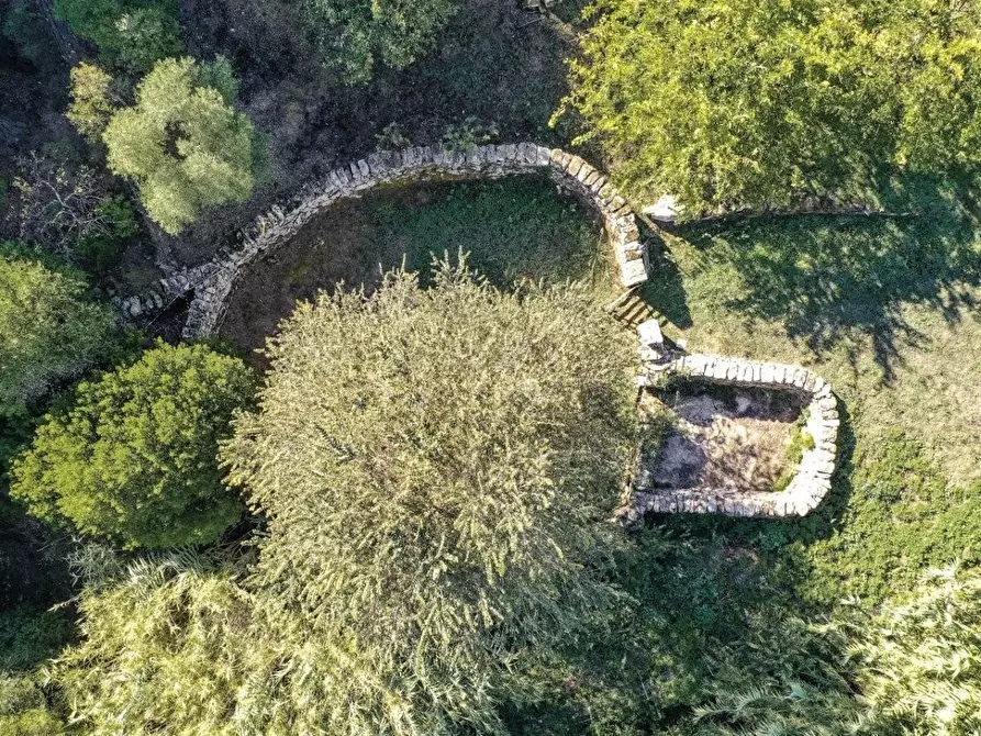 Immagine 14 di Casa colonica in vendita  a Luogosanto