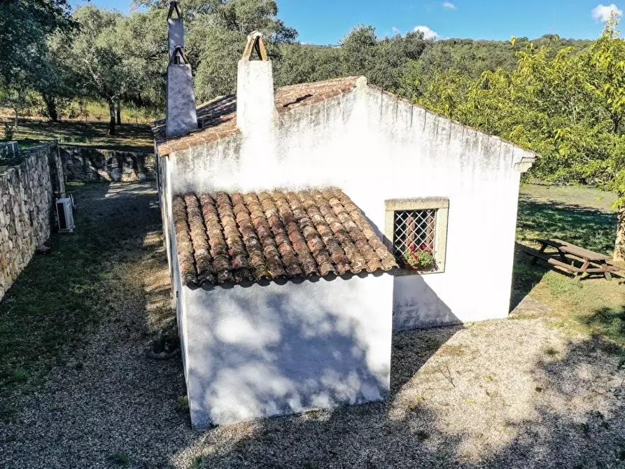 Immagine 9 di Casa colonica in vendita  a Luogosanto