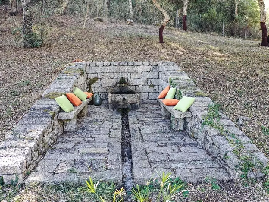 Immagine 16 di Casa colonica in vendita  a Luogosanto