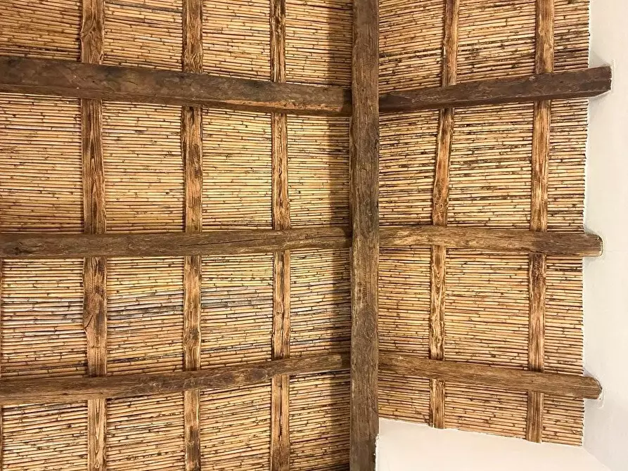 Immagine 37 di Casa colonica in vendita  a Luogosanto