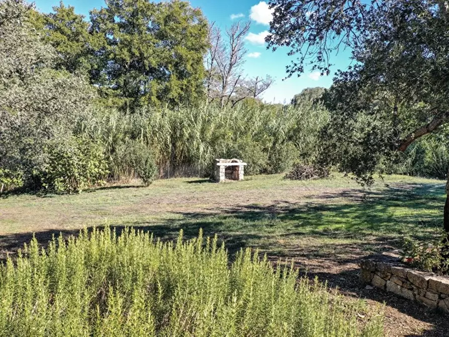 Immagine 17 di Casa colonica in vendita  a Luogosanto